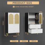 Stylish Modern Storage Cabinet